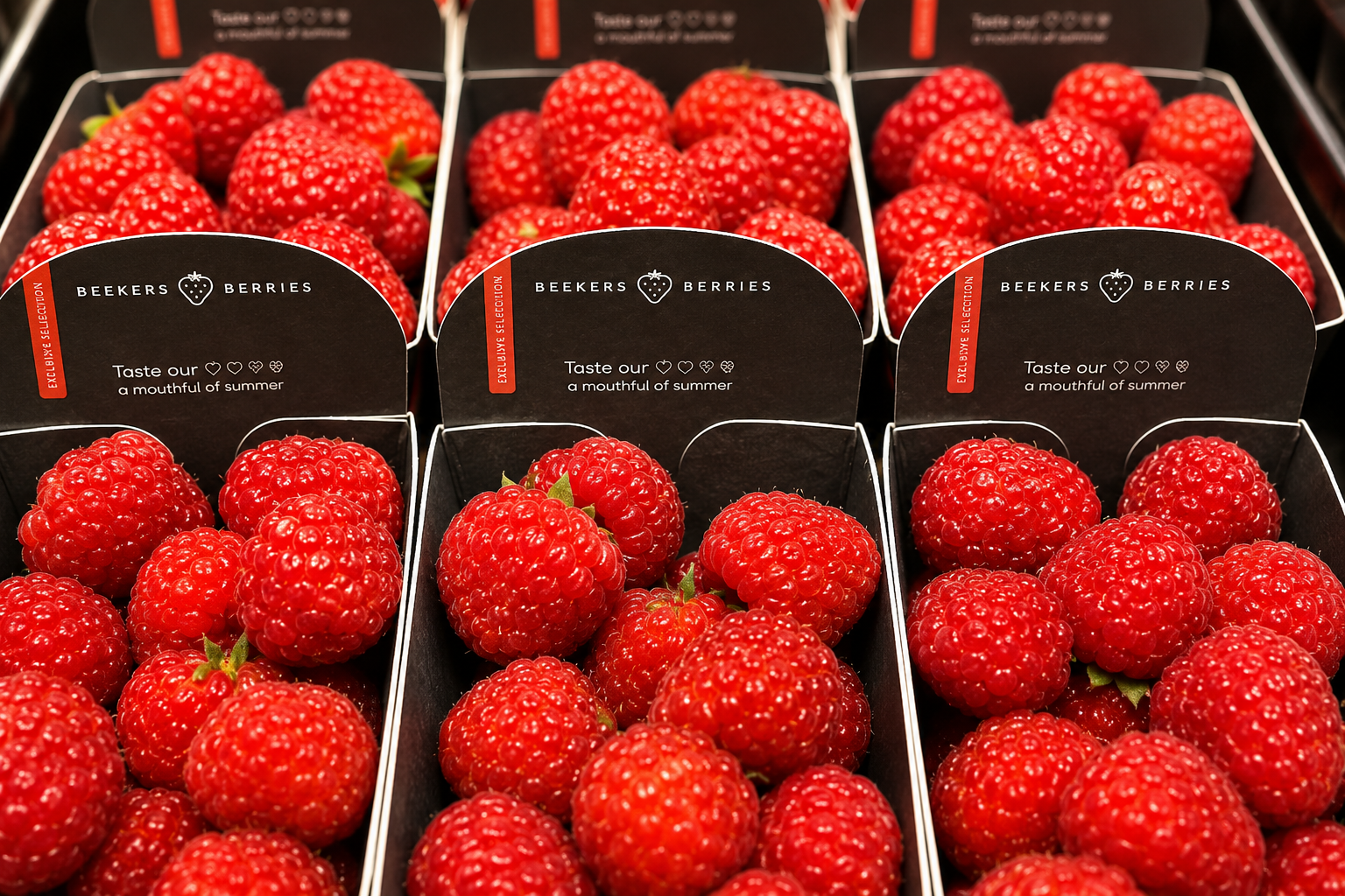 Barquettes de framboises Beekers Berries